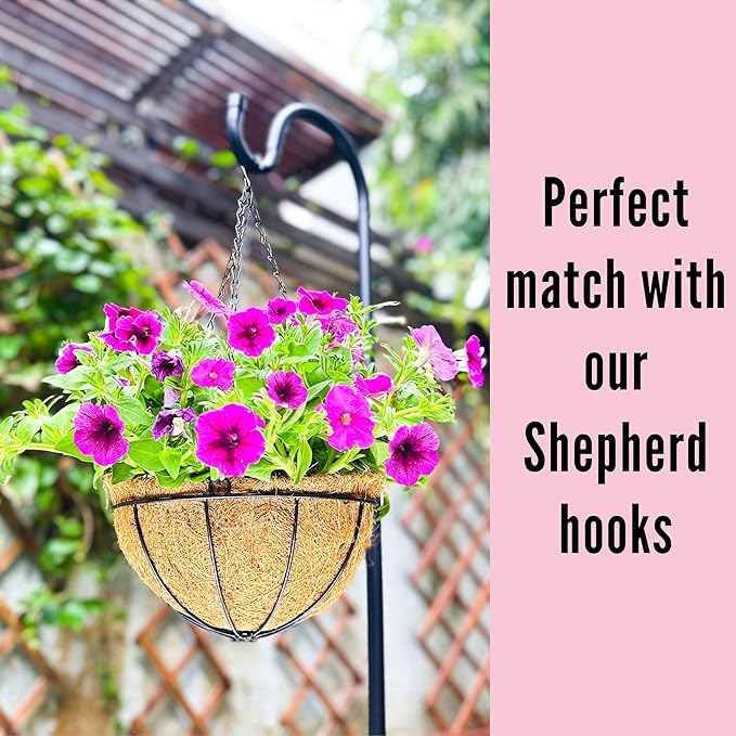 LaLaGreen Hanging Baskets (8 Inch, 10 Pack) Small Hanging Planter with Coco Liner Round Flower Pots, Black Outdoor Planters Basket Metal Wire Holder Hook Deck Porch Modern Garden Balcony Decorations