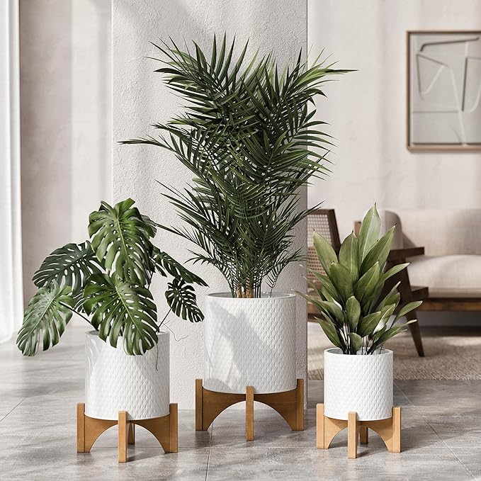 EverNest Claire Boho Modern White Planter with Arch Wood Stand, Indoor Mid-Century Plant Pot, SelectBase, Minimalist Planter Stand Home Décor (Medium, 2 Gallon)