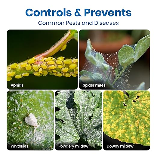 AgroMagen, GrowSafe Bio-Pesticide, Organic and Natural Miticide, Fungicide and Insecticide (Ready-to-Use 24 fl.oz)