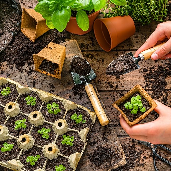 Doter Organic Vegetable Soil Mix 4qt, Indoor Plants Potting Mix for All Potted Vegetable Like Tomatoes Lettuce Bell Peppers, Grow Healthy houseplants Indoors