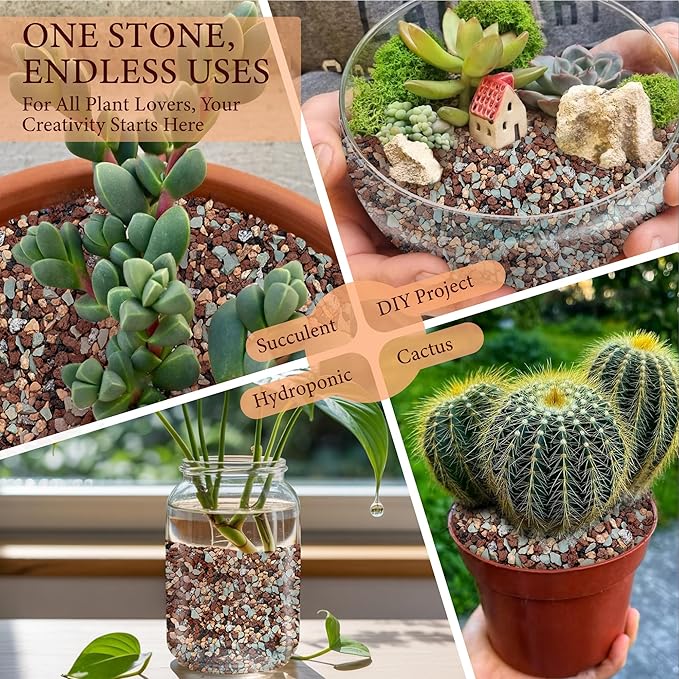 5LB Lava Rocks for Plants-3/8 Volcanic Rock for Succulent Potting Mix, Cactus, Orchids & Bonsai-Porous Horticultural Grit for Drainage, Aeration & pH Balance - Decorative Top Dressing