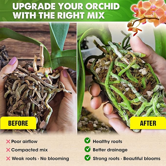 [Upgraded] DUSPRO Orchid Potting Mix for Repotting with Forest Moss, Pine Bark, Perlite & Pumice, Orchid Bark Potting Mix, Orchid Repotting Soil, Drainage Indoor Potting, Orchid Pot Not Included, 10QT