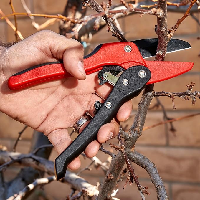 Corona Tools Ratchet Hand Pruner – 3/4-Inch Cut Capacity Garden Pruning Shears for Stems & Branches, Heavy-Duty Ratcheting Hand Pruners with Comfortable Grip