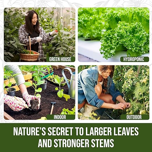 PlantVantage Premium Growth Liquid Plant Fertilizer – NPK Fertilizer (8-16-8) with Zinc & Iron, Liquid Plant Food for Stronger Stems & Larger Leaves, Foliar Spray for Trees, Shrubs & Flowers – 32 oz