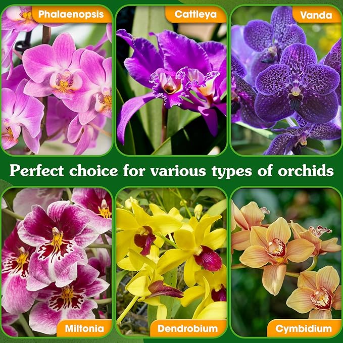 5-in-1 Orchid Potting Mix with Forest Moss, Pine Bark, Perlite, Zeolite, and Pumice – Orchid Soil, Orchid Repotting Kit for Healthy Roots, Fast Drainage, and Support for Growth 8 QRT