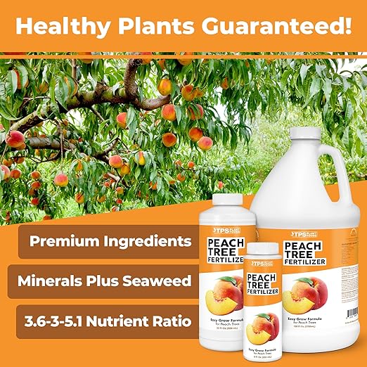 Peach Tree Fertilizer – Liquid Peach Tree Plant Food for Healthy Growth & Fruit Production, 32 oz