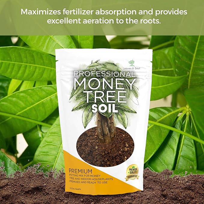 Professional Money Tree Soil Mix Large 2.2 Quarts Ready to Use, Premium Indoor Potting Soil for Money Tree Plants, Peat Moss Coco Coir Perlite Dolomite, Fast Draining Nutrient Rich Blend Made in USA