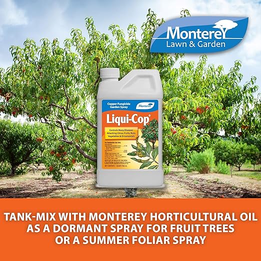 Monterey Copper Fungicide Garden Spray Bundled with Measuring Spoon - Controls Diseases on Citrus, Fruits, Nuts, Vegetables & Ornamentals, Preventative Disease Protection - 1 Quart