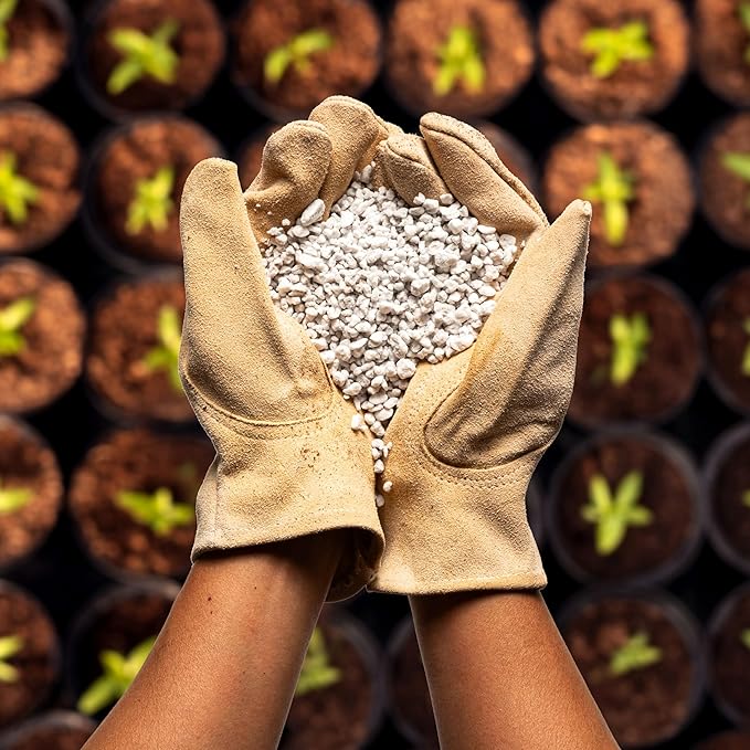 Perlite Bliss (8 Qts) - Organic Perlite for Plants Indoor Soil Amendment - Horticultural Perlite for Gardening & Seed Starting - Mixes Easily with Potting Soil, Vermiculite, & Coco Coir for Plants