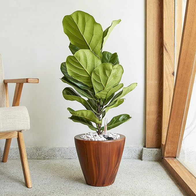 Set of 2, Smart Self-Watering Planters for Indoor and Outdoor - Round, Imitation Wood