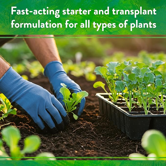 Down To Earth All Natural Fertilizers Organic Bio-Live Starter & Transplant Mix with Mycorrhizal Fungi and Benefical Microbes for Plant Food 5-4-2, 4 lb