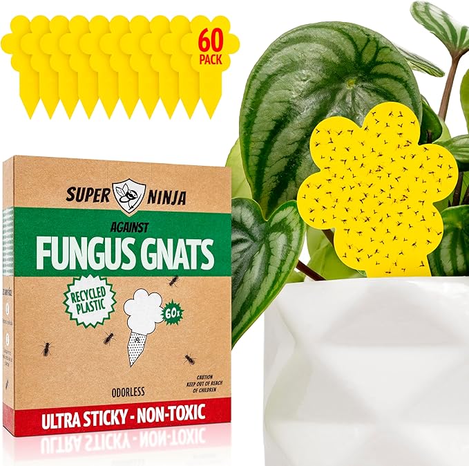 Super Ninja Fungus Gnat Traps - 60 Pack, Highly Effective Gnat Traps for House Indoor, Yellow Sticky Trap for Plants, Non-Toxic & Nature-Friendly, Up to 3 Months