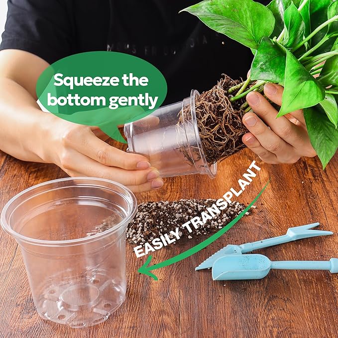 Bluepro 50 Packs 4 Inch Reinforced Clear Nursery Pots with Drainage Holes, Transparent Plastic Plant Pot Seedling Planter for Vegetable Propagation, Root Cutting, Seed Starting