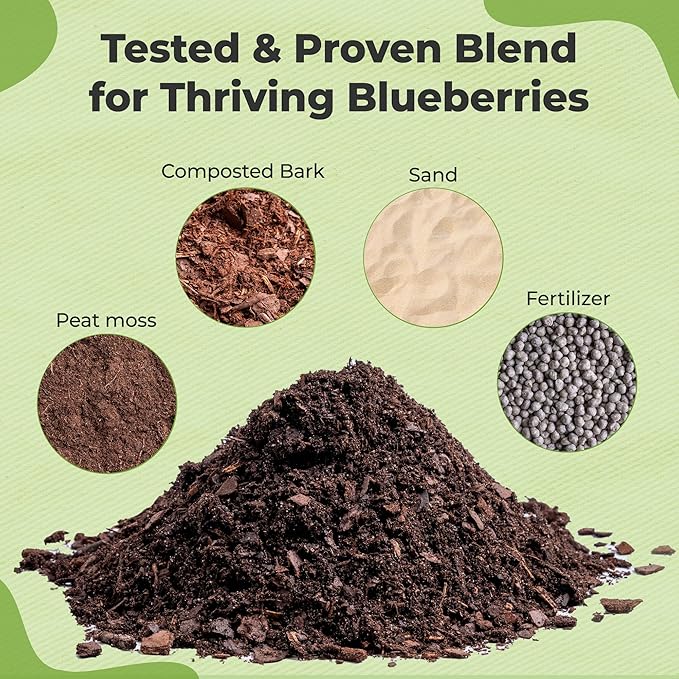 Specialty Blueberry Potting Mix by Perfect Plants | Organic Premium Mix | Use with Blueberry's, Raspberry, or Other Fruit Shrubs (8qt) (Pack of 2)