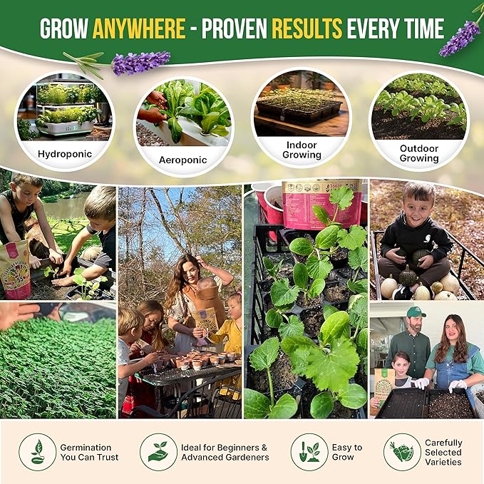 Organo Republic 12 Culinary Herbs Seeds Variety Pack - 7,355+ Heirloom, Non-GMO, Herbs Seeds for Outdoor and Indoor Home Gardening, Including Basil, Cilantro, Chives, Dill, Parsley, Sage