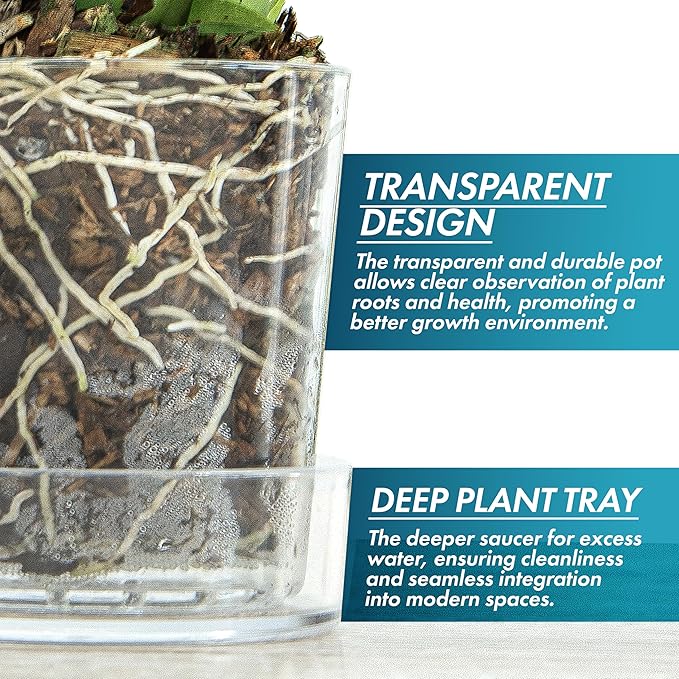 Phoenix Vine 3.5 Inch Clear Acrylic Planter Pot with Tray, Orchid Pot with Drainage Holes, Deep Saucer for Bottom Watering, Transparent Containers for Indoor Plants, Herbs, Set of 12, 91-A-D-12
