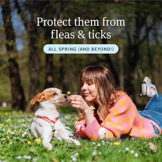 PetArmor Home Yard Spray for Dogs, Kills and Protects Against Fleas, Ticks, Mosquitoes, Ants, and Other Bugs, 32oz