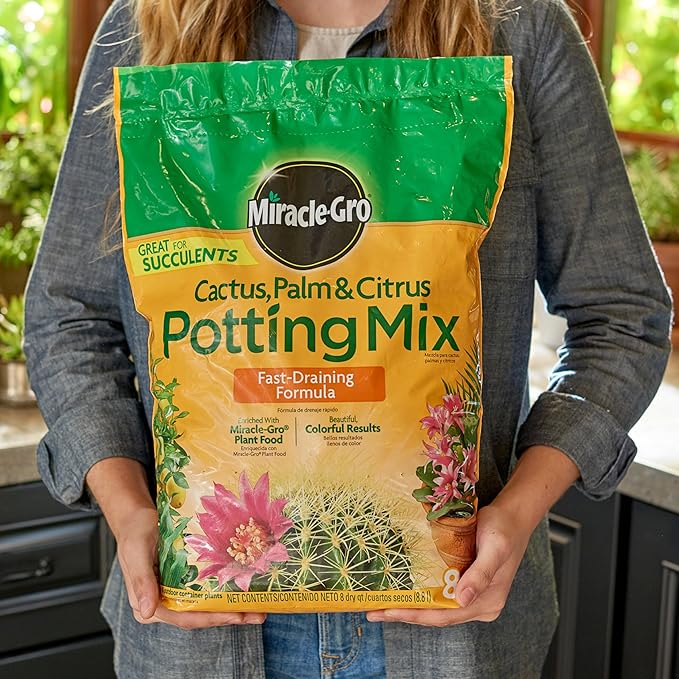 Miracle-Gro Cactus, Palm and Citrus Potting Mix, for Indoor or Outdoor Potted Plants, Great for Succulents, 8 qt., 2-Pack