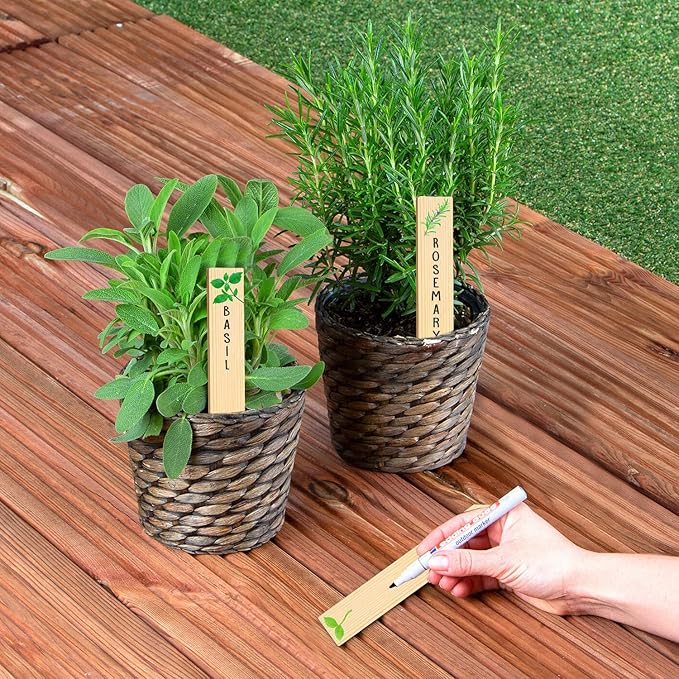 Huray Rayho 12PCS Wooden Indoor Herb Plant Labels Signs - Assorted Indoor Garden Stakes - Re-Usable Plant Tags