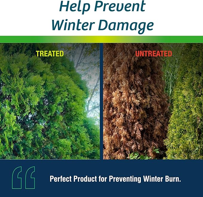 Wilt-Pruf® Concentrate | Protect Against Winter Damage, Drought, and Stress | Just Spray & Let Dry | Locks in Moisture w/Clear Foliar Film | Professional-Grade & Trusted | Replaces Burlap | (1 Gal)