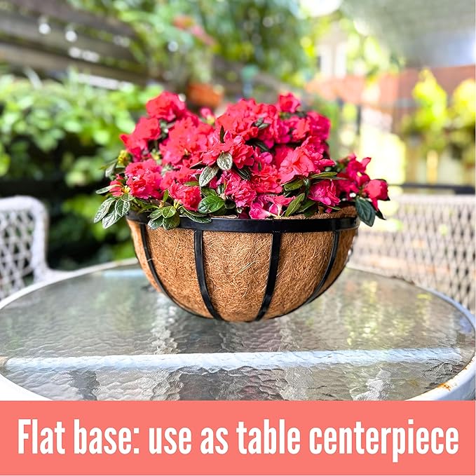 LaLaGreen Outdoor Hanging Baskets for Plants (14 Inch, 4 Pack) Large Hanging Planter with Coco Liner, Round Plant Flat Iron Metal Flower Pots for Deck Patio Porch Garden Balcony Outside Decoration