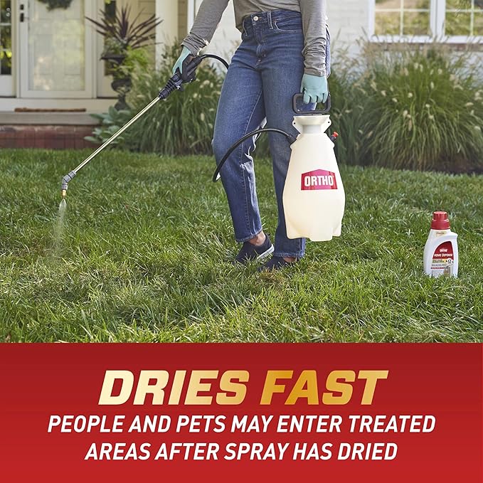 Ortho Home Defense Insect Killer for Indoor and Perimeter Concentrate - Kills Ants, Cockroaches and Spiders, 32 fl. oz.