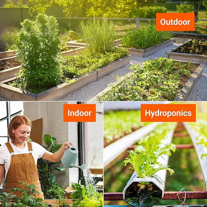 Open Seed Vault | 4,000 Heirloom Seeds | 12 Variety Pack of Herb Seeds | 2026 Season | Non GMO Vegetable and Fruit Seeds | Planting Outdoor & Indoor Garden | Gardening Starter Kit High Yield Produce