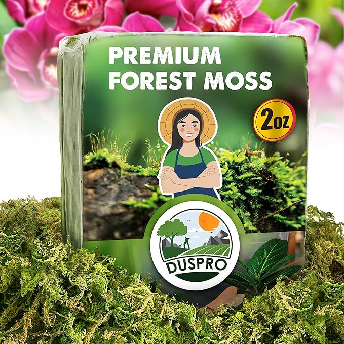 DUSPRO 2oz Dried Moss for Potted Plants, Forest Orchid Moss for Potting Mix, Sphagnum Potting Moss for Plants Indoor, Real Moss Soil Cover for Houseplant