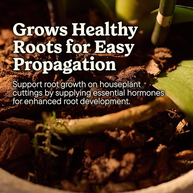 Miracle-Gro Plant Care Root Starter Gel, Rooting Hormone for Propagating Houseplants, 4 Packets