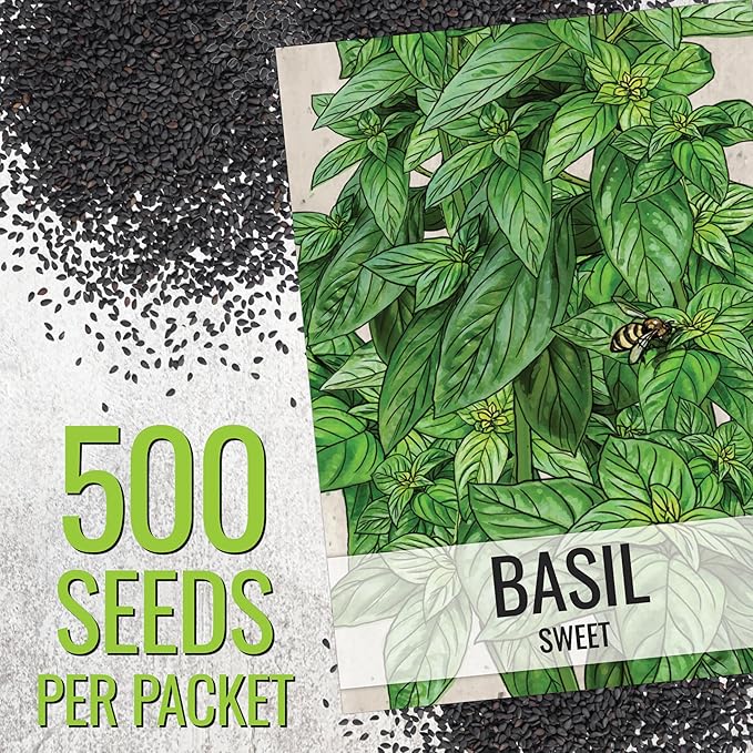 Seed Needs Sweet Basil & Italian Oregano Seeds for Planting Fresh Kitchen Herbs - Non-GMO Heirloom & Untreated Perennial & Annual Herb Seed to Plant a Culinary Garden Indoors or Outdoors (2 Pack Duo)