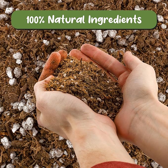 Soil Sunrise Carnivorous Plant Potting Soil Mix (2 Quarts) Ideal Additive for Venus Fly Traps, Sundews, and Pitcher Plants