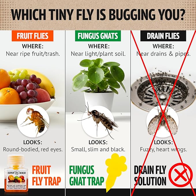 Super Ninja Fruit Fly Traps for Indoors - 2 Pack, Highly Effective Fruit Fly Catcher for Indoor Use for Home & Kitchen, Up to 3 Weeks of Performance per Bottle, Kid & Pet Friendly