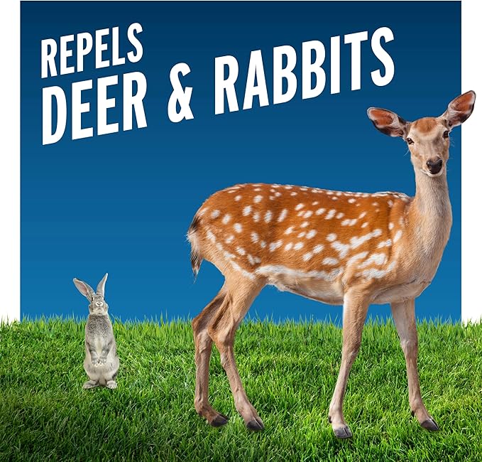 Liquid Fence Deer And Rabbit Repellent Concentrate 2.5 Gallons, Apply Year-Round