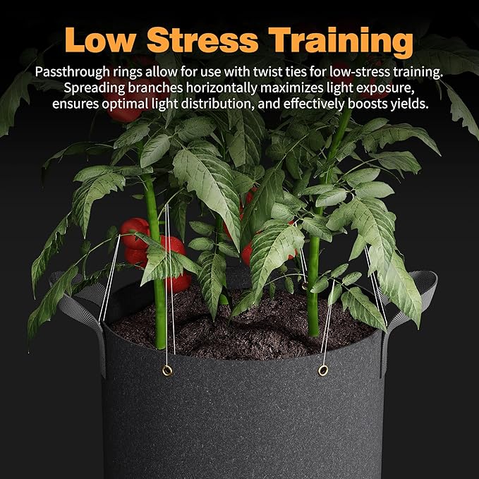 Patigrow Self-Watering Grow Bags, 5-Pack 5 Gallon 420G Thick Nonwoven Fabric Pots with Reinforced Handles and Multi-Purpose Rings, for Low Stress Plant Training Fruits, Vegetables,and Flowers
