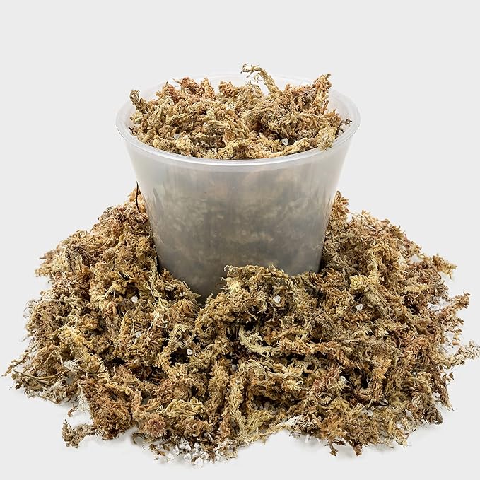 Gardenera Sphagnum Moss Potting Mix for Carnivorous Plants, Moss and Perlite Blend for Potting Venus Fly Traps, Sarracenia, Pitcher Plants - 75% Sphagnum Moss + 25% Perlite - Made in USA - 3 Quart