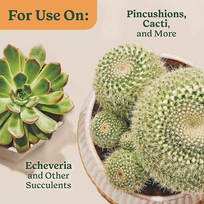 Miracle-Gro Indoor Potting Mix (8 qt.) and Indoor Plant Food (8 fl. oz.) for Cactus & Succulent - Bundle for Growing and Fertilizing Indoor Cacti and Succulents