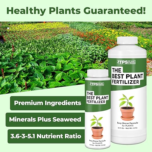 The Best Plant Fertilizer – Liquid Plant Food for Lush Growth, Stronger Roots & Vibrant Plant Health, 32 oz