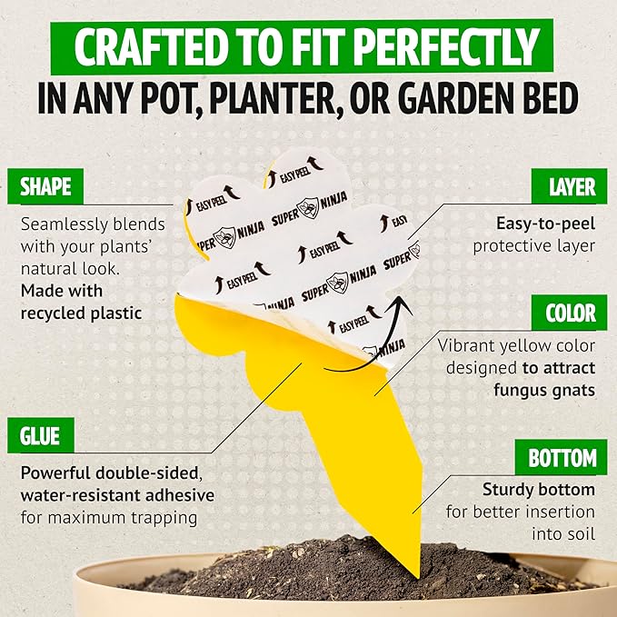 Super Ninja Fungus Gnat Traps - 60 Pack, Highly Effective Gnat Traps for House Indoor, Yellow Sticky Trap for Plants, Non-Toxic & Nature-Friendly, Up to 3 Months