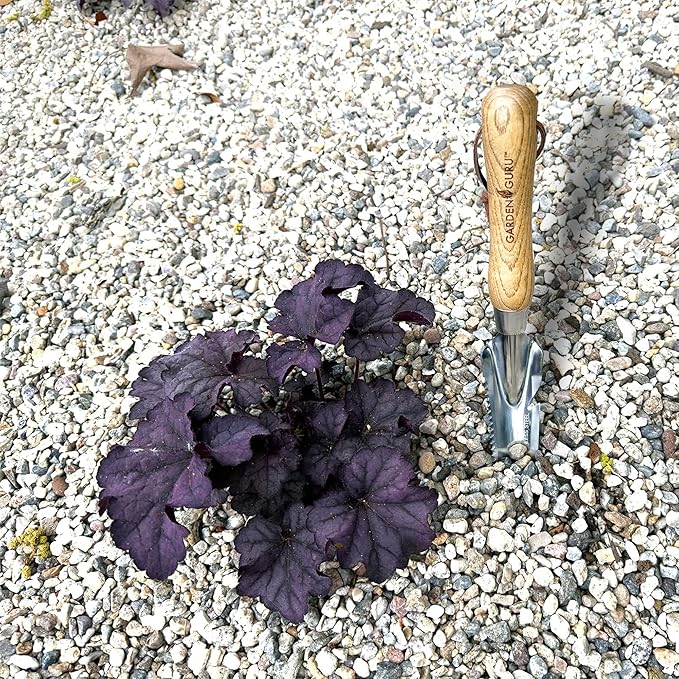 Garden Guru Hand Weeder Trowel with Ergonomic Handle – Stainless Steel Weeding & Digging Knife – Rust Resistant - Perfect for Weeding, Transplanting, Digging, Pruning, Cutting (2Pack)