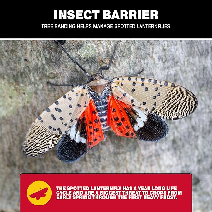 Catchmaster Tree Banding Insect Barrier DIY Kit, 15oz Pail & Spreader, Lanternfly & Ant Traps, Outdoor Adhesive Crawling Insect Trap to Protect Trees, Fruit & Plants