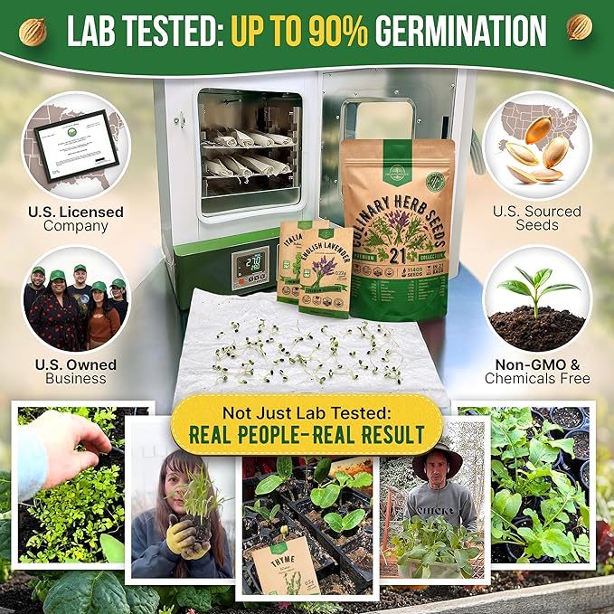 21 Culinary Herb Seeds Variety Pack - Heirloom, Non-GMO, Herb Seeds for Planting Outdoor and Indoor - Home Gardening. Over 11,400+ Seeds Including Rosemary, Thyme, Oregano, Mint, Basil, Parsley & More