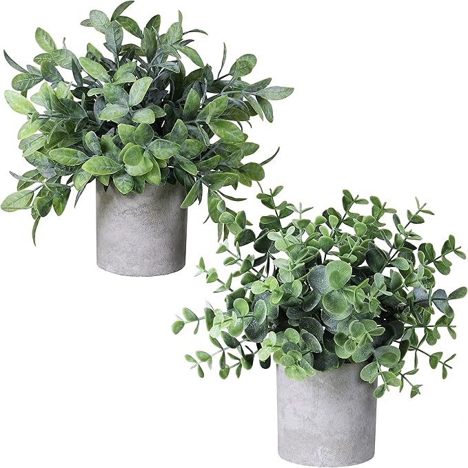 Winlyn Set of 2 Faux Mini Potted Plants Artificial Eucalyptus Boxwood Plants in Pots Fake Greenery Arrangement for Rustic Farmhouse Indoor Table Centerpiece Mantel Shelf Kitchen Office Desk Decor