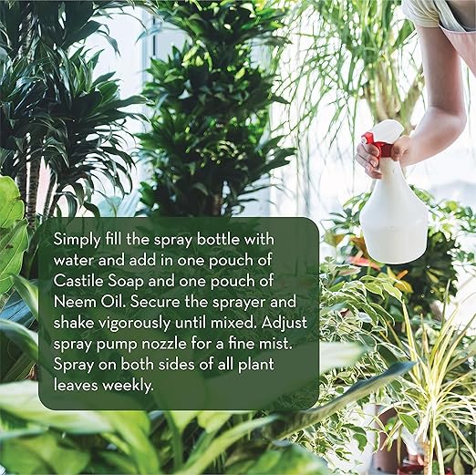 Emily's Naturals Neem Oil Spray for Plants | Kit Makes 48oz of Spray for Indoor & Outdoor Plants - Aceite De Neem para Plantas | Safe and Biodegradable