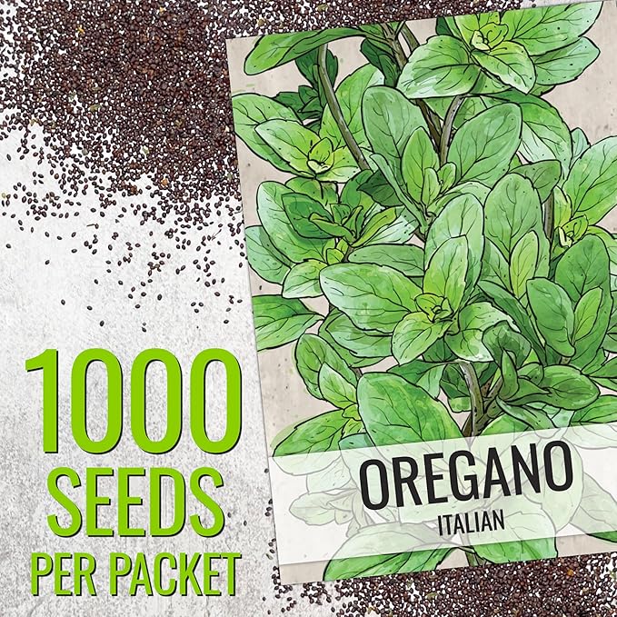 Seed Needs Sweet Basil & Italian Oregano Seeds for Planting Fresh Kitchen Herbs - Non-GMO Heirloom & Untreated Perennial & Annual Herb Seed to Plant a Culinary Garden Indoors or Outdoors (2 Pack Duo)