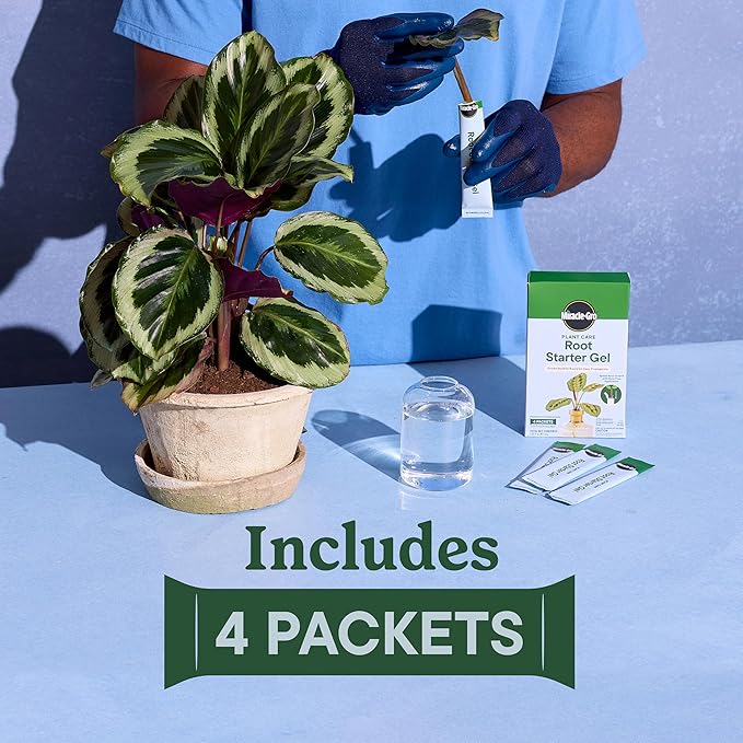 Miracle-Gro Plant Care Root Starter Gel, Rooting Hormone for Propagating Houseplants, 4 Packets