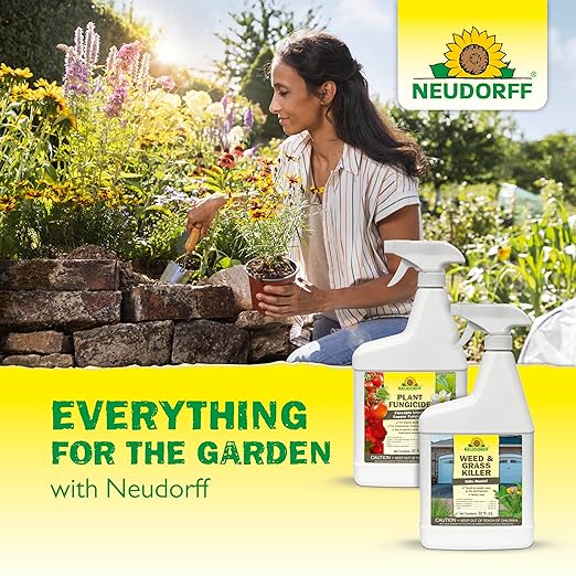 Neudorff Garden Insecticide Spray for Roses and Flowers, Kills Fruit Flies, Fungus Gnats, and 100+ Listed Insects on Contact for Organic Gardening, Contact Insecticide, Ovicide Spray (32 oz)