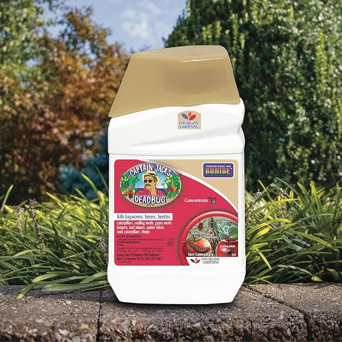 Bonide Captain Jack's Deadbug Brew, 16 oz Concentrate Outdoor Insecticide and Mite Killer for Organic Gardening
