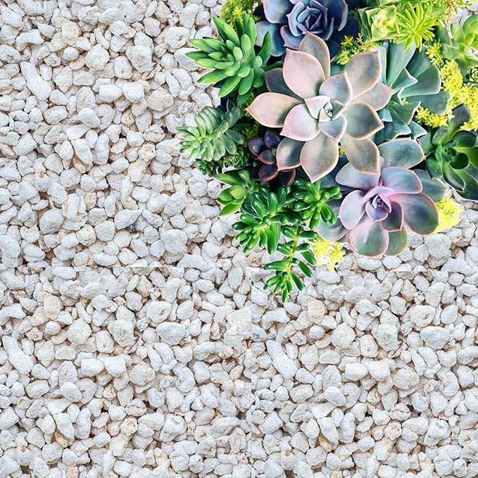 GARDENWISE Perlite for Plants, Coarse and Chunky Horticultural Perlite, Organic Perlite for Gardening Indoor & Outdoor, Perlite Bulk Bag, Made in USA (5 quarts)