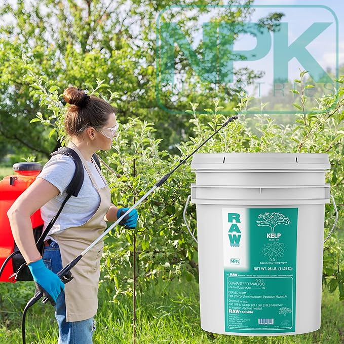 RAW Kelp – Premium Ocean-Derived Kelp Extract