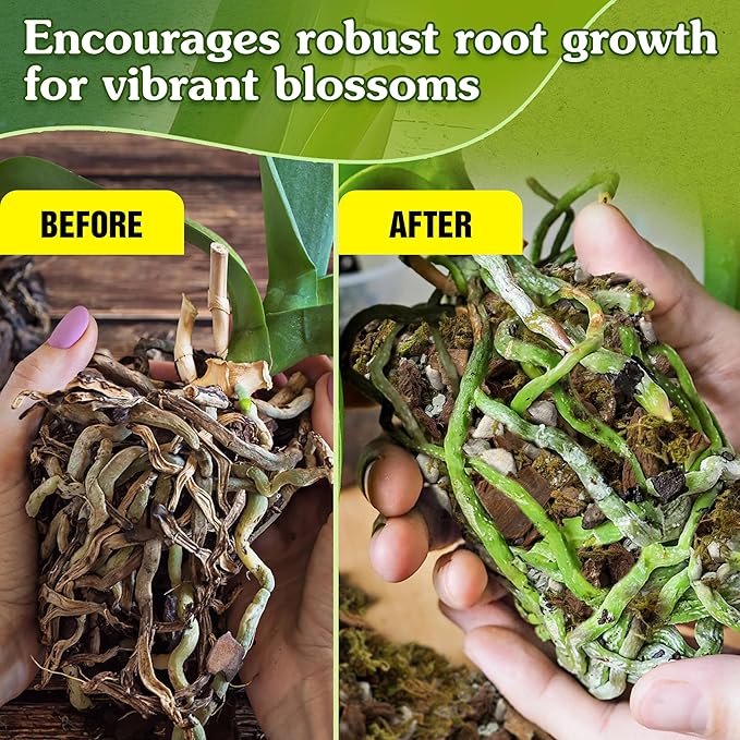 5-in-1 Orchid Potting Mix with Forest Moss, Pine Bark, Perlite, Zeolite, and Pumice – Orchid Soil, Orchid Repotting Kit for Healthy Roots, Fast Drainage, and Support for Growth 8 QRT